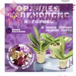 Микс 2,5 (комплект из трех растений)